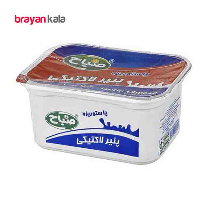 عکس اصلی پنیر لاکتیکی 300 گرمی صباح